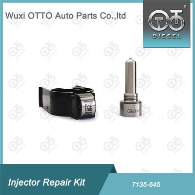Bộ máy phun phun phun-CVA 7135 - 645 Bộ sửa chữa máy phun đường sắt chung cho máy phun R05201D