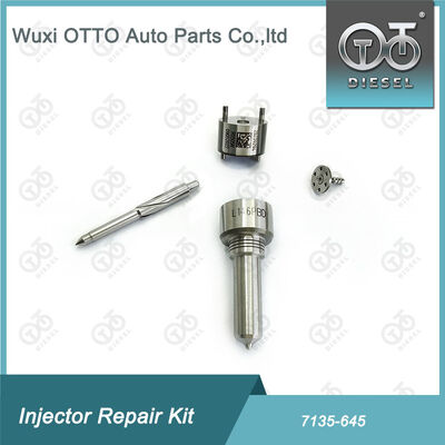Bộ máy phun phun phun-CVA 7135 - 645 Bộ sửa chữa máy phun đường sắt chung cho máy phun R05201D