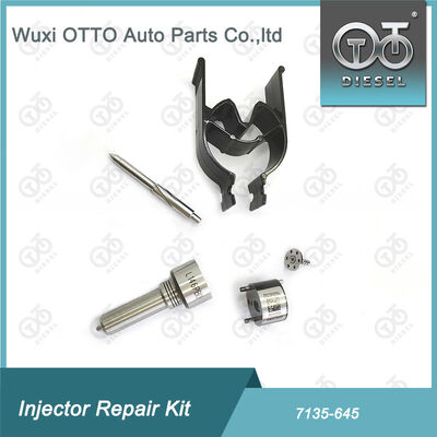 Bộ máy phun phun phun-CVA 7135 - 645 Bộ sửa chữa máy phun đường sắt chung cho máy phun R05201D
