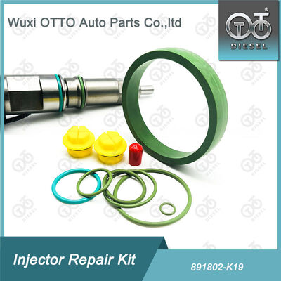 891802-K19 Bộ sửa chữa cho máy tiêm cho máy tiêm Cummins K19