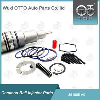 891805-A0 Bộ sửa chữa máy phun nhiên liệu 891804-M11 cho máy phun  A0 Series
