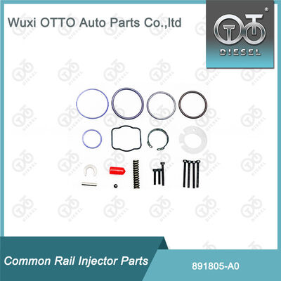 891805-A0 Bộ sửa chữa máy phun nhiên liệu 891804-M11 cho máy phun  A0 Series