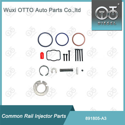 Bộ sửa chữa kim phun nhiên liệu diesel 891805-A3 cho đầu phun dòng Delphi A3
