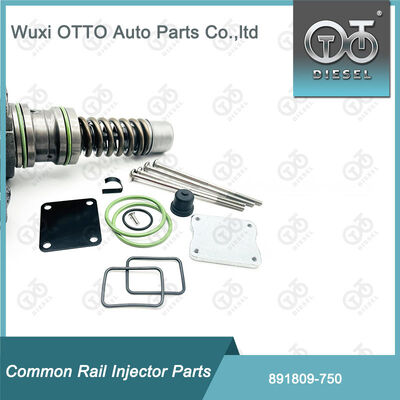 Bộ sửa chữa máy phun nhiên liệu 891809-750 cho máy bơm 750 Bosch