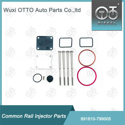 Bộ sửa chữa máy phun nhiên liệu 891810-799005 cho máy bơm 799