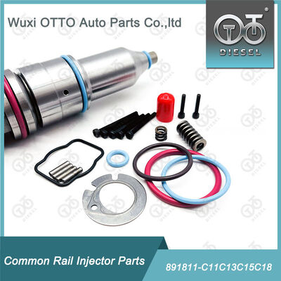 Bộ sửa chữa máy phun nhiên liệu 891811-C11c13c15c18 cho máy phun nhiên liệu dòng C11 / C13 / 15 / 18