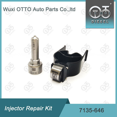 Bộ máy phun phun 7135-646 Bộ sửa chữa máy phun Delphi cho máy phun 28232251 / R03101D / R05102D