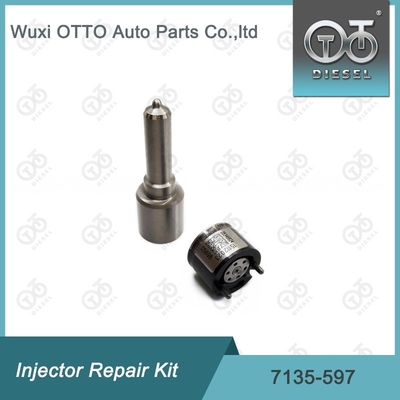 7135-597 Bộ sửa chữa máy tiêm Delphi Bộ máy phun-CVA Bộ máy phun- van