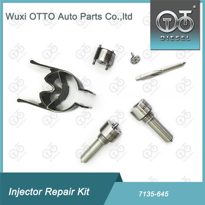 Bộ máy phun phun phun-CVA 7135 - 645 Bộ sửa chữa máy phun đường sắt chung cho máy phun R05201D